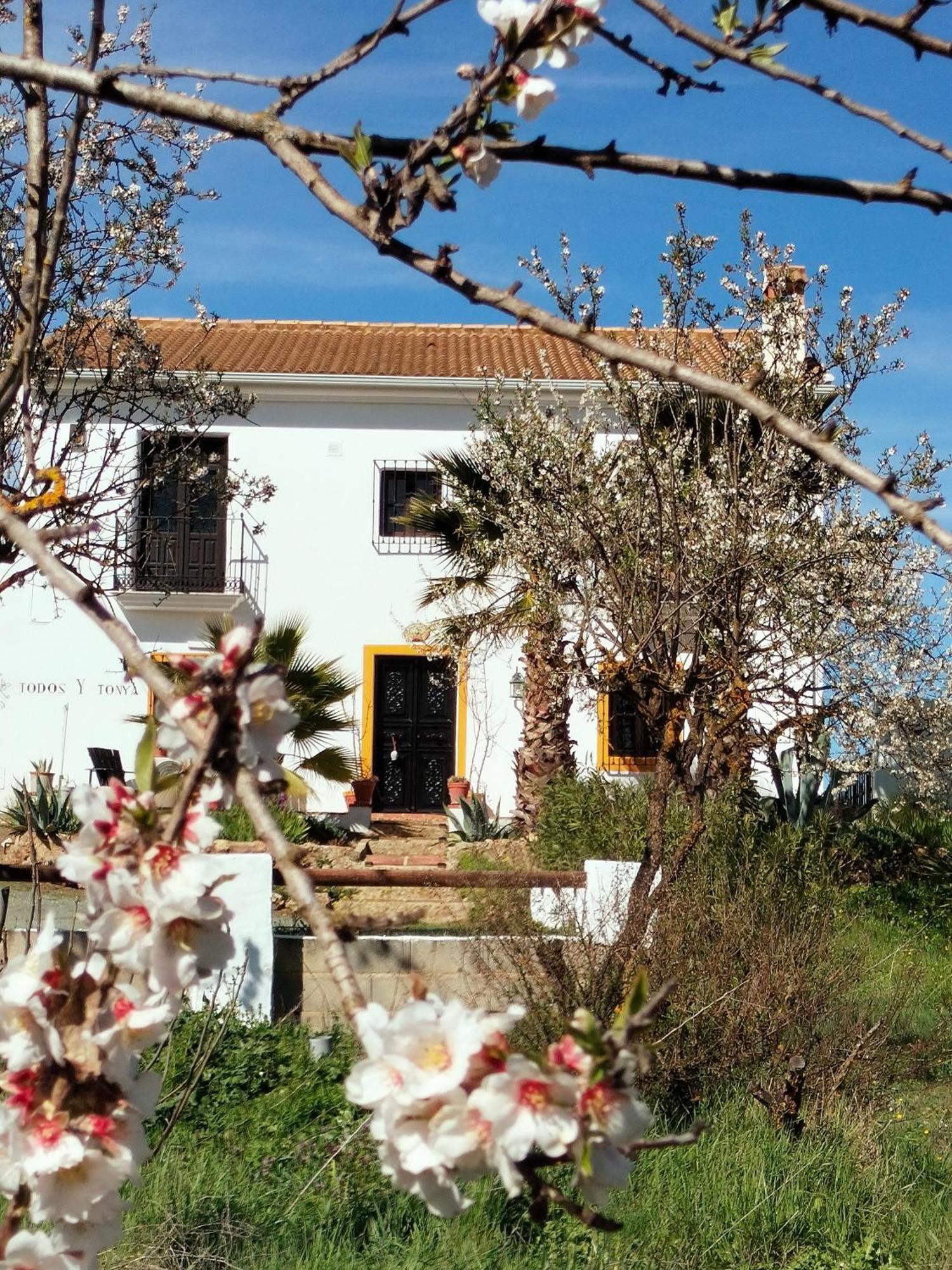 Bed and Breakfast Todos Y Tonya Арчидона Экстерьер фото