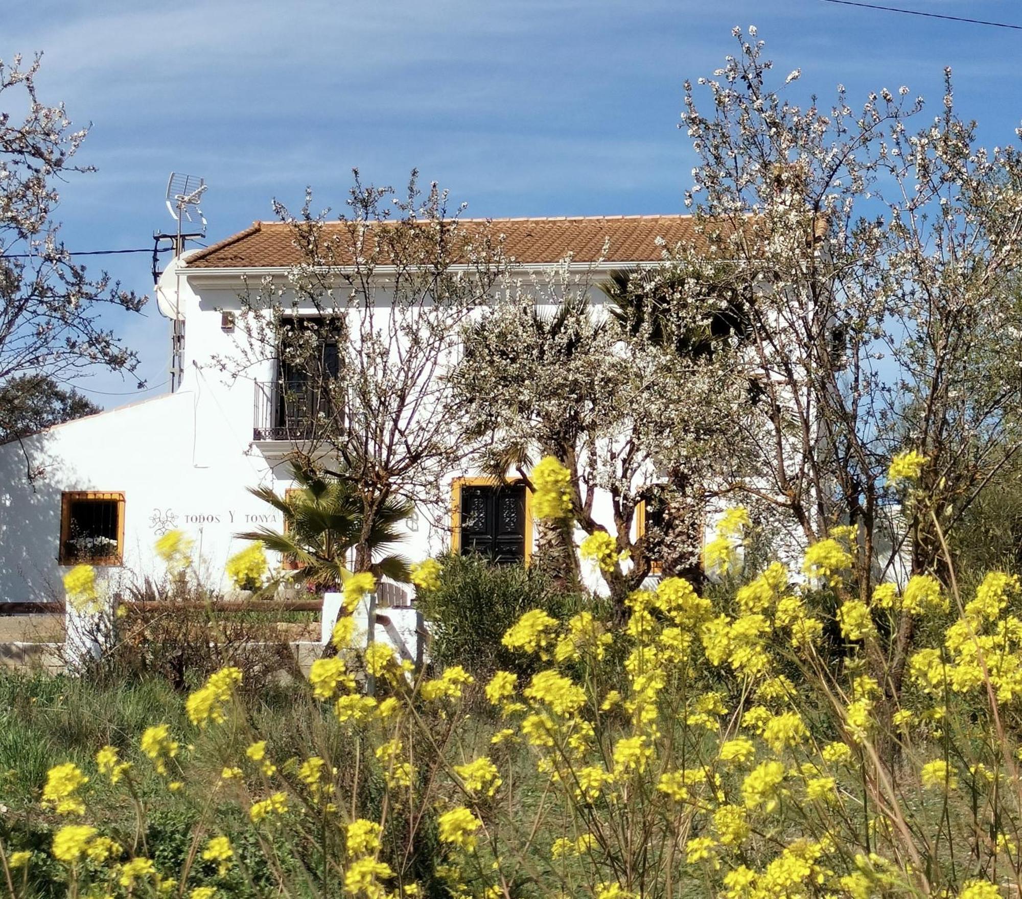 Bed and Breakfast Todos Y Tonya Арчидона Экстерьер фото