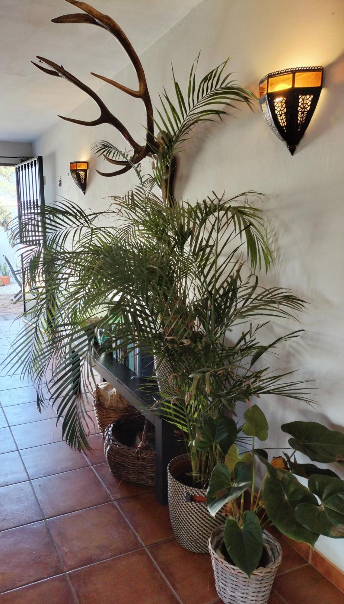 Bed and Breakfast Todos Y Tonya Арчидона Экстерьер фото