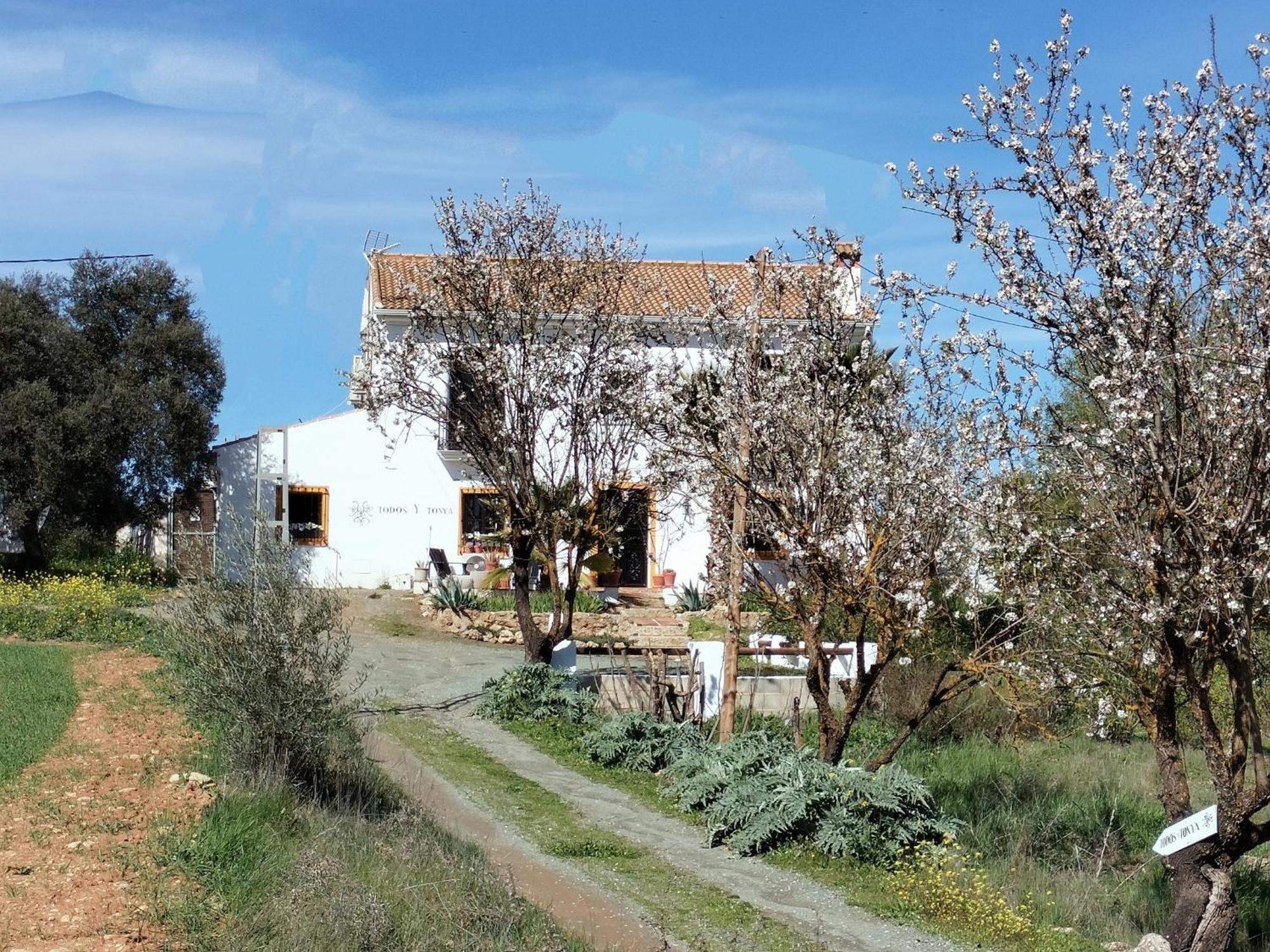 Bed and Breakfast Todos Y Tonya Арчидона Экстерьер фото
